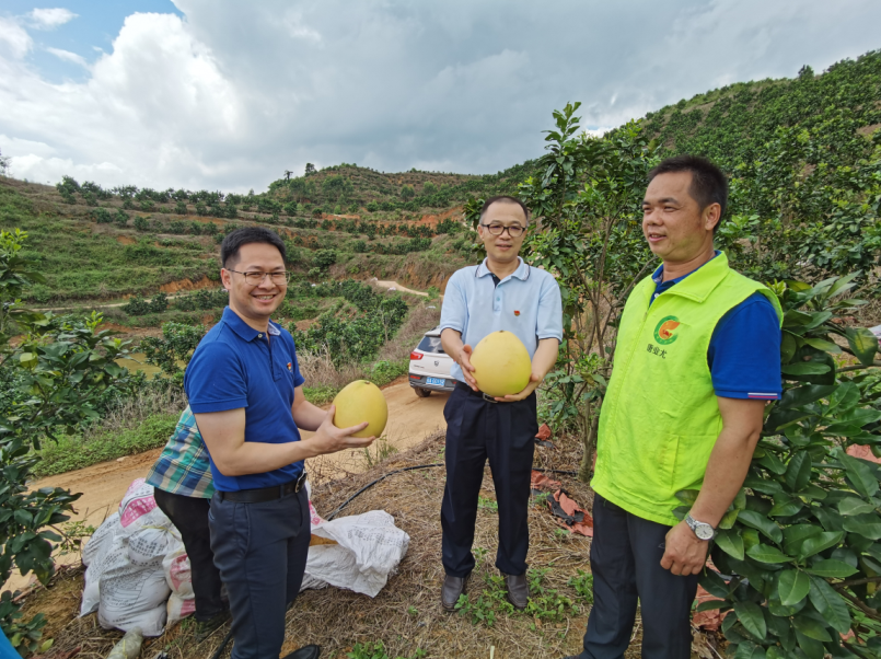 /QJ_100061199129.png 三紅蜜柚種植基地調研.png